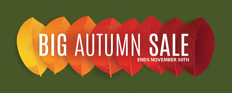 American Cart’s Big Autumn Sale!